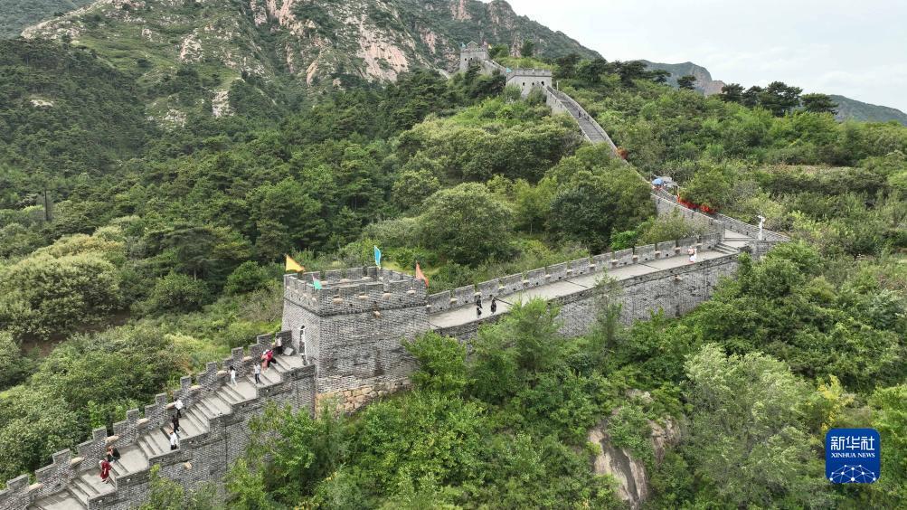 跳槽送彩金100可提款